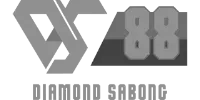 Pag 段 logo